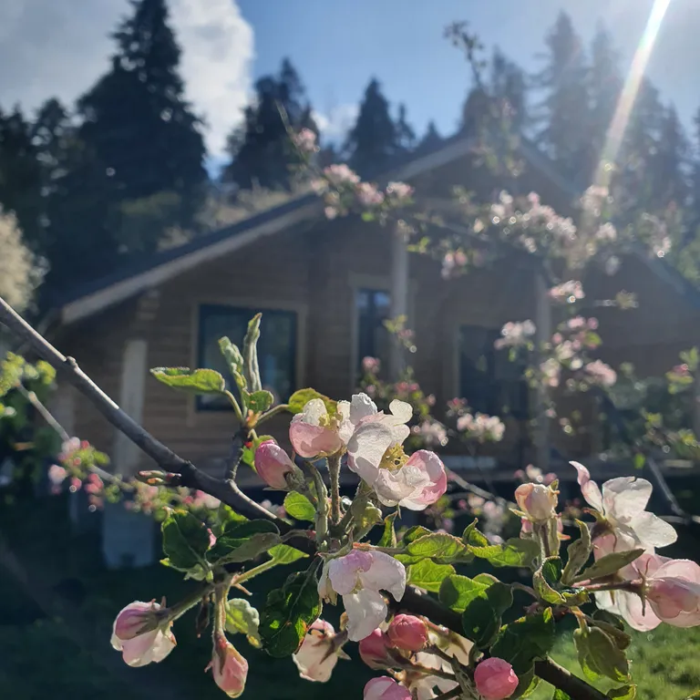 Коттедж Коттедж Белый Сруб — Мезмай