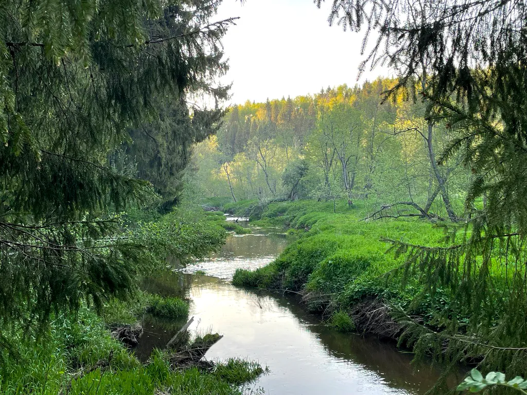 Коттедж Сказочный Шале с камином и джакузи в живописном лесу — Шадрино