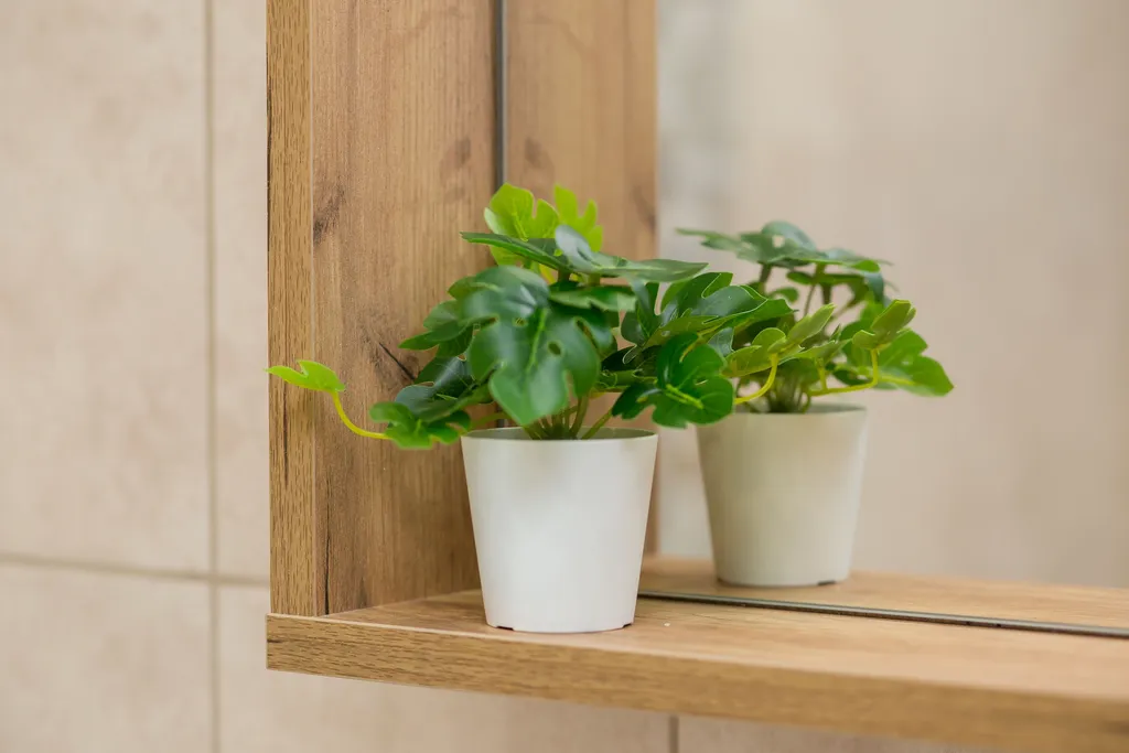 Венский лес