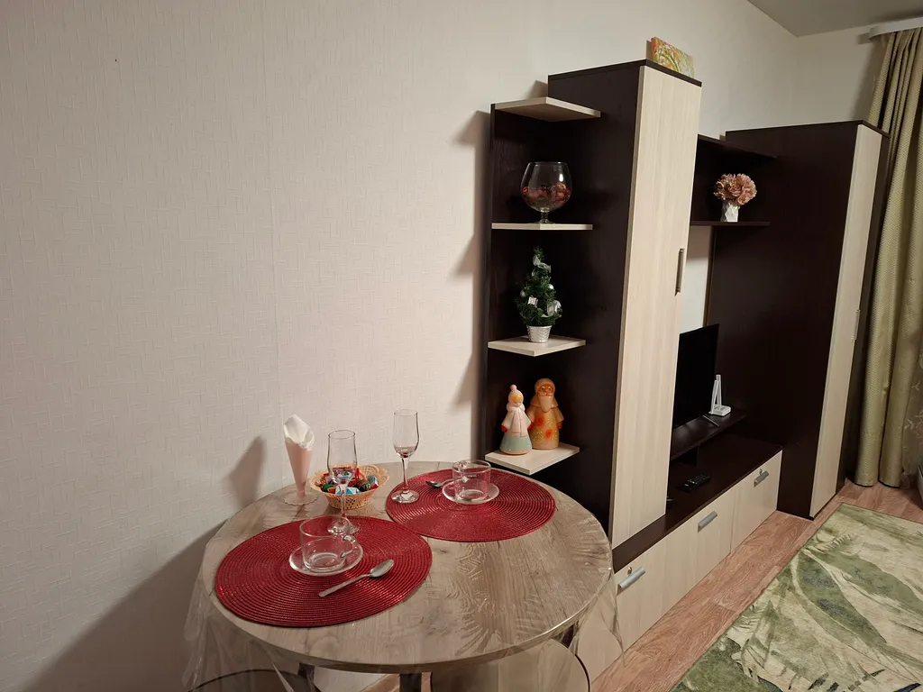 Студия в центре города с шикарным видом на стадион Зенит