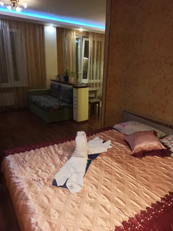 Уютная студия в центре города