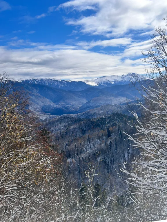 Уникальный дом-баня с собственной террасой