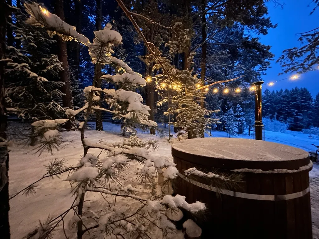 Дом баня на дровах