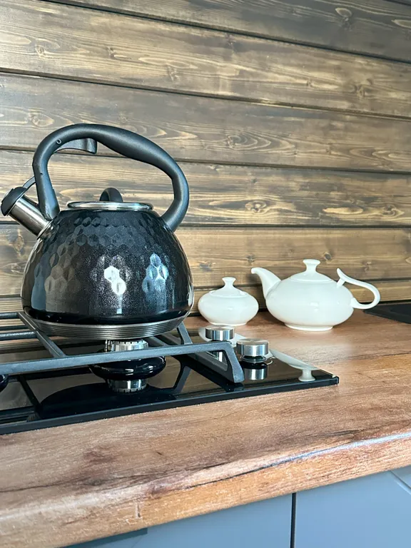 Лесной купольный дом Шикша