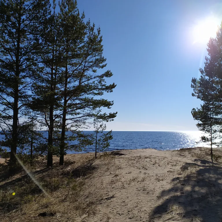 Коттедж Дом на берегу Ладожского озера — Видлица