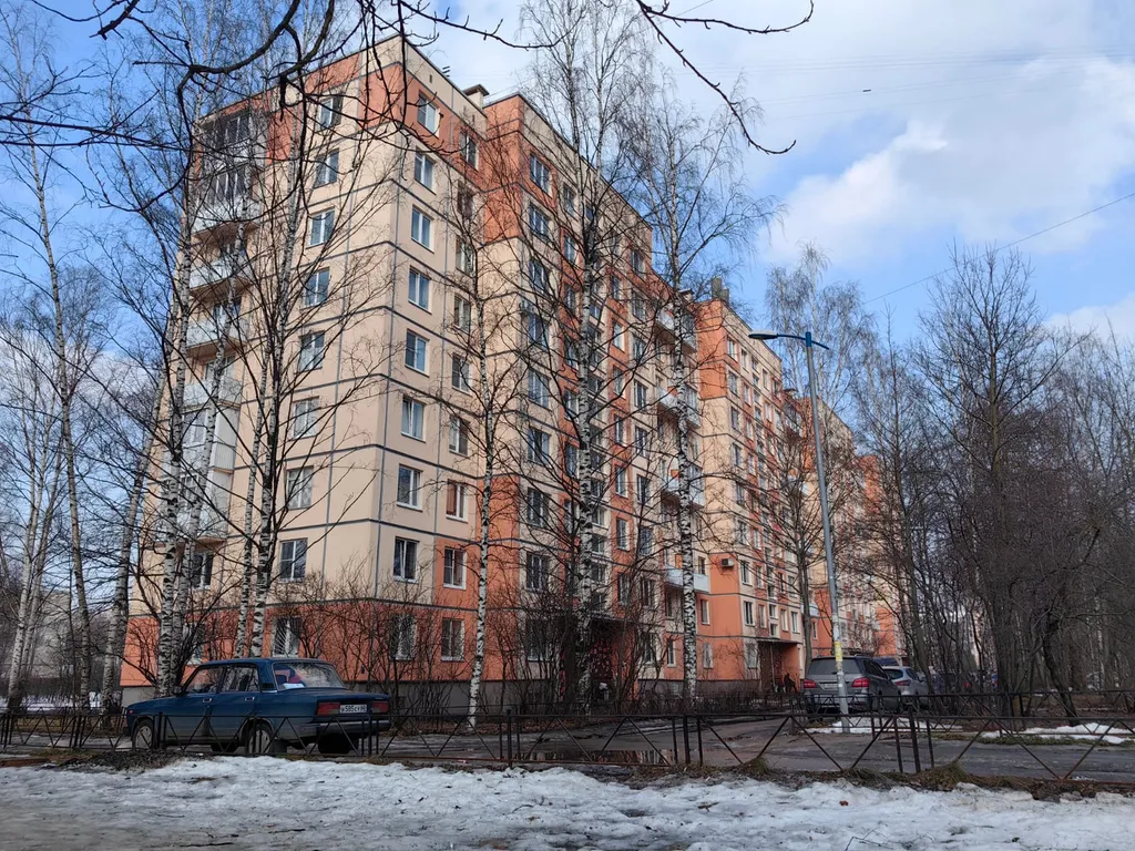 Вольная птица