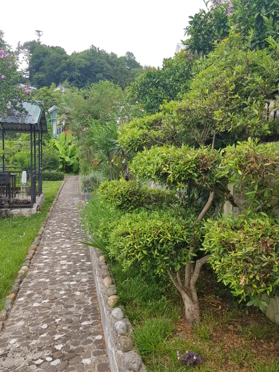 Дом с бассейном у моря участок - 24 сотки райского сада