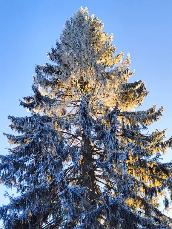 Коттедж Дом с печкой — Краснознаменка