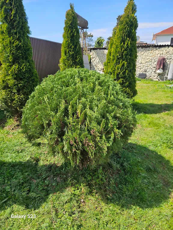 Гостевой Дом Азалия Комната в стиле Бунгало в 50 м от моря