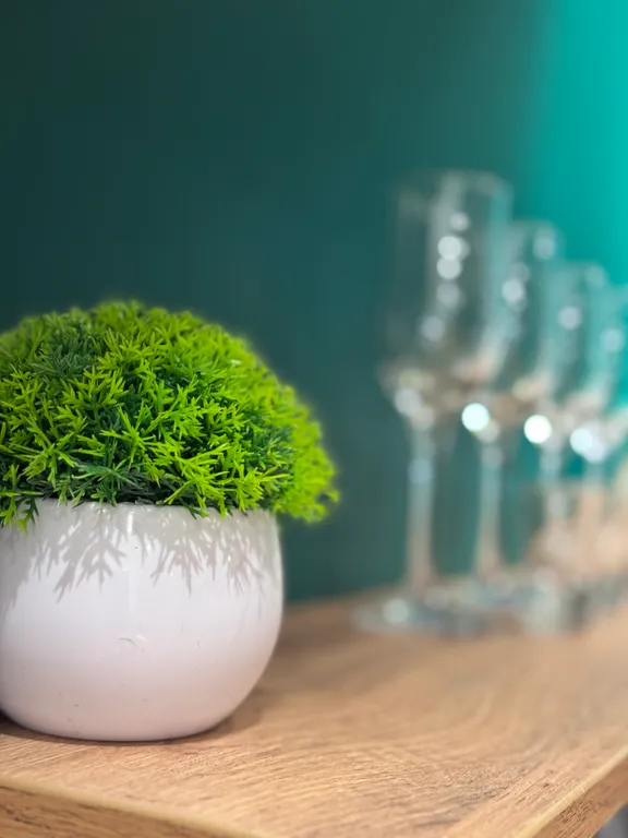 Код уюта- квартира 369 на толстого