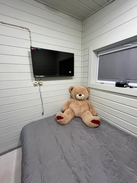 Коттедж Домик для отличного отдыха — Луга