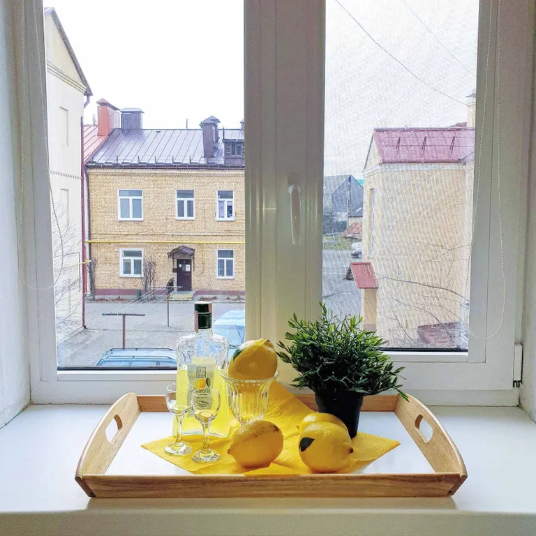 Квартира в историческом центре города