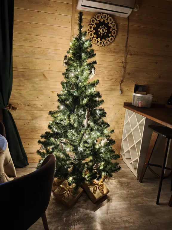 Дом с видом на лес дача лесника