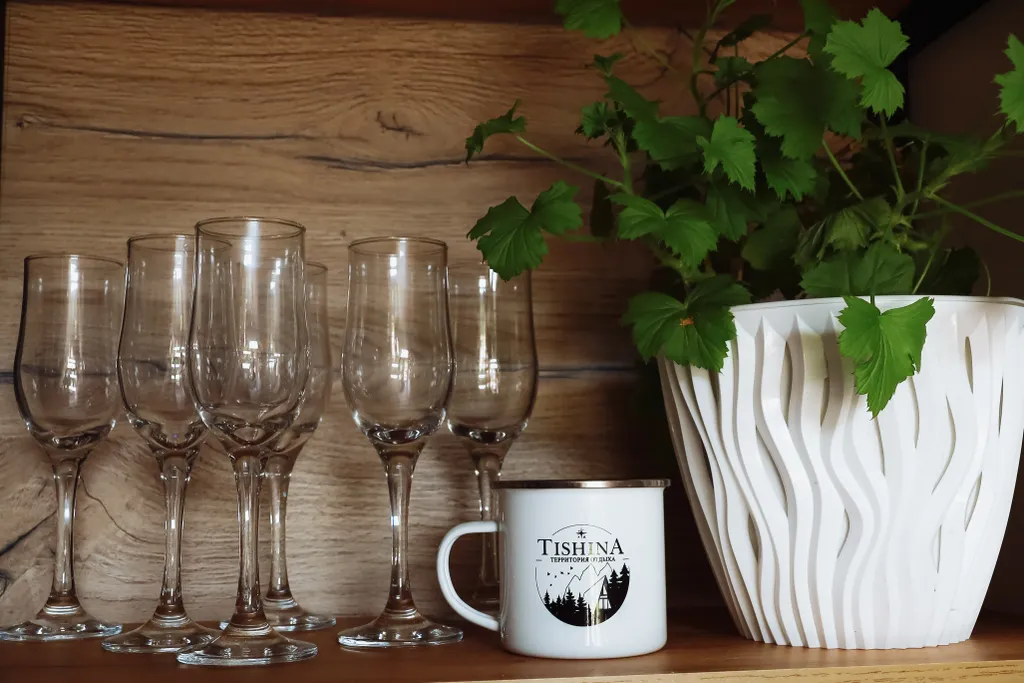 Территория отдыха Тишина Дом № 6