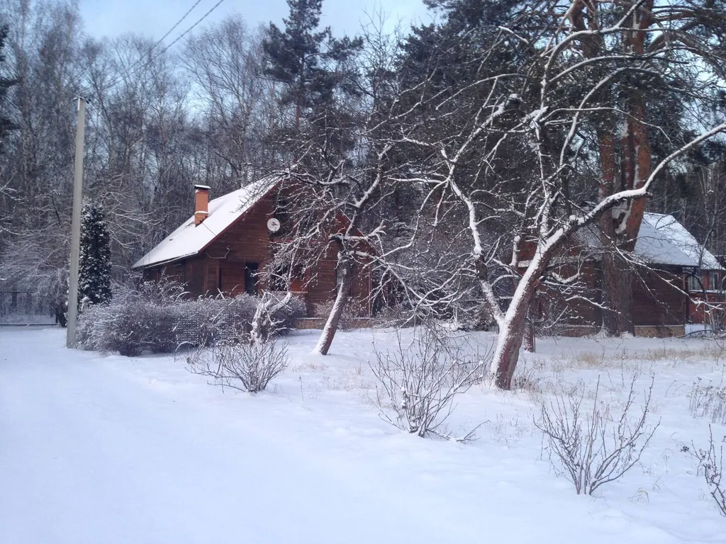 Уютный дом в рядом с лесом