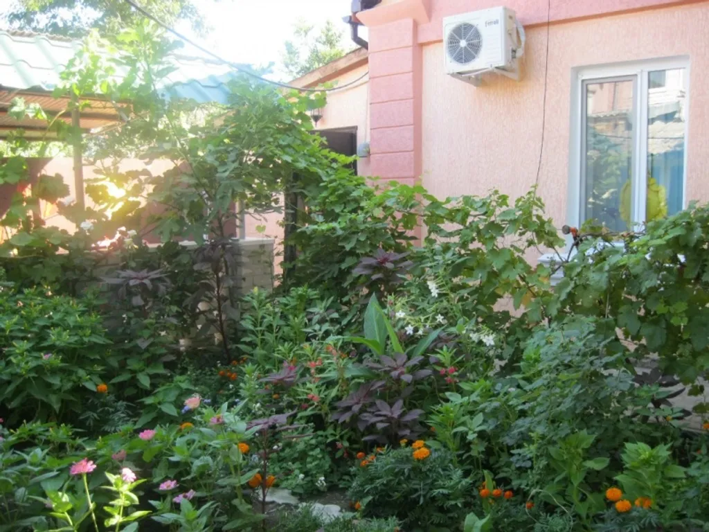 Дом без хозяев и других отдыхающих