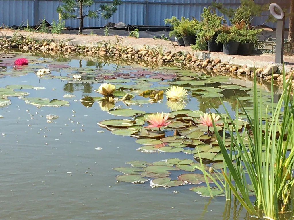 Дом с баней и камином в заповеднике