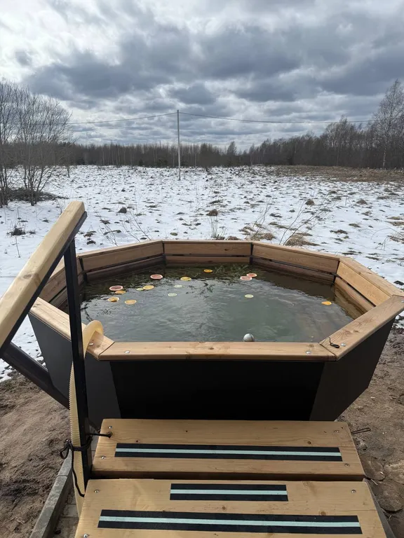 Дом с баней на дровах, банным чаном и большой гостиной