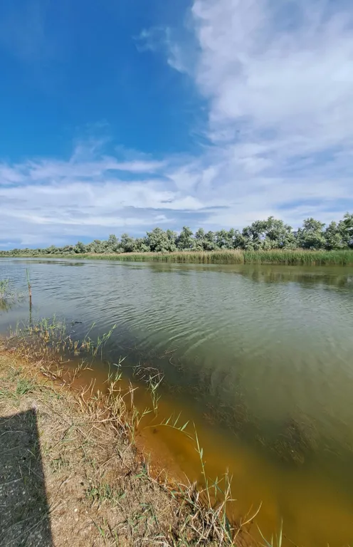 Домик у пруда с тёплым бассейном