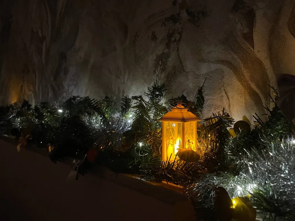 Таунхаус в окружении соснового леса