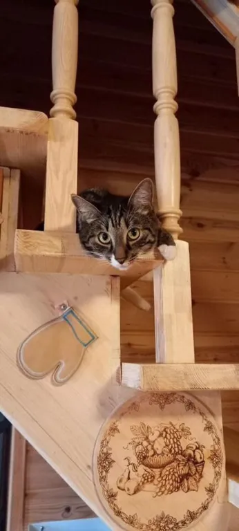 Домик на берегу Оки на территории сельской усадьбы Варежка