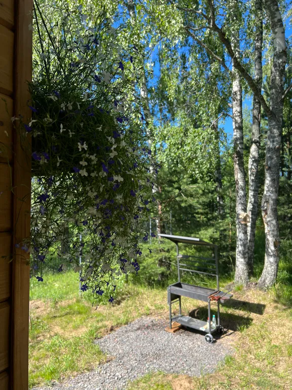 Семейный коттедж с эко-тропой до Игоры (синий Balance)