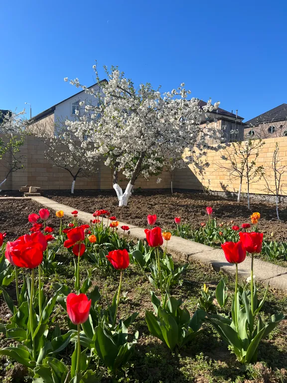 Комнаты две в 10 минутах пешком от набережной