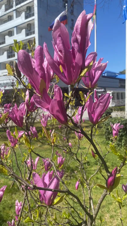 Квартира Уютная квартира в живописном городе — Горячий Ключ