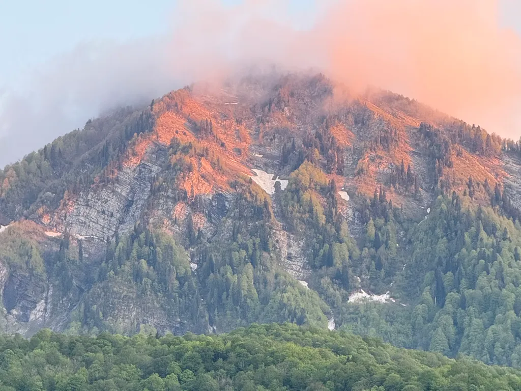 MOD House Катерина Альпика