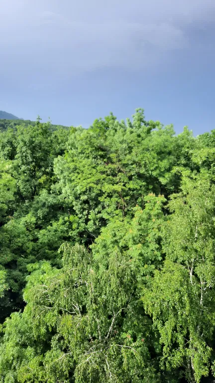 Уютная квартира-студия в курортной зоне, с шикарным видом