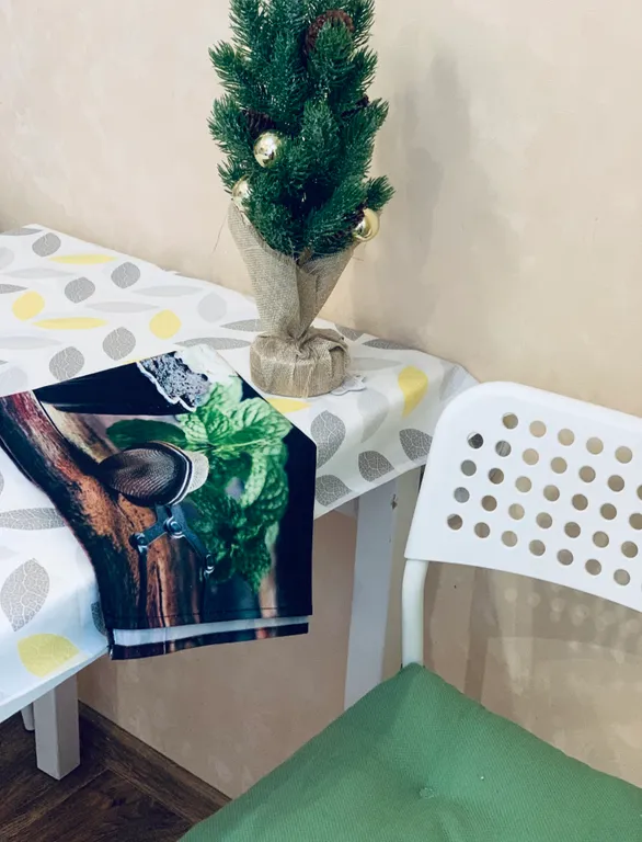 Светлая квартира в центре с красивым видом