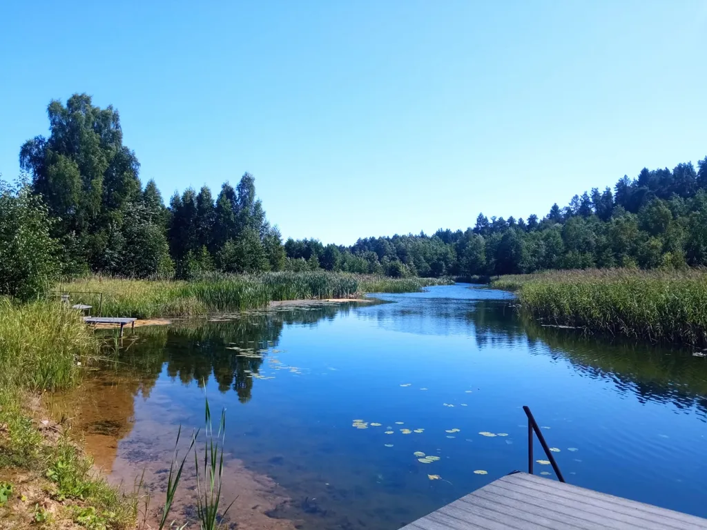 Дом у реки со своим мостком