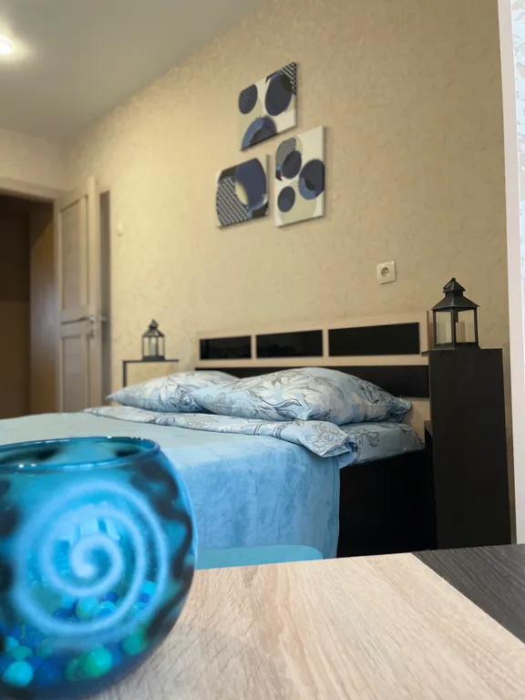 Большая и уютная квартира в Новом Центре