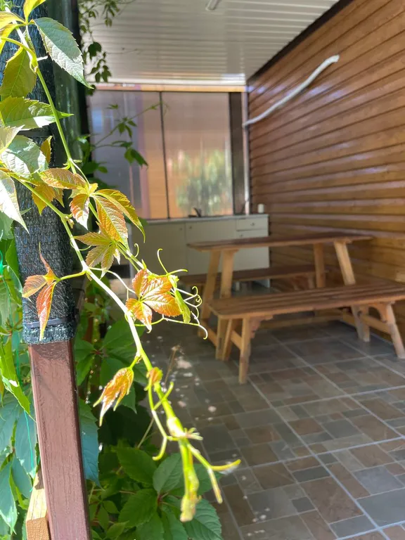 Море у дачи