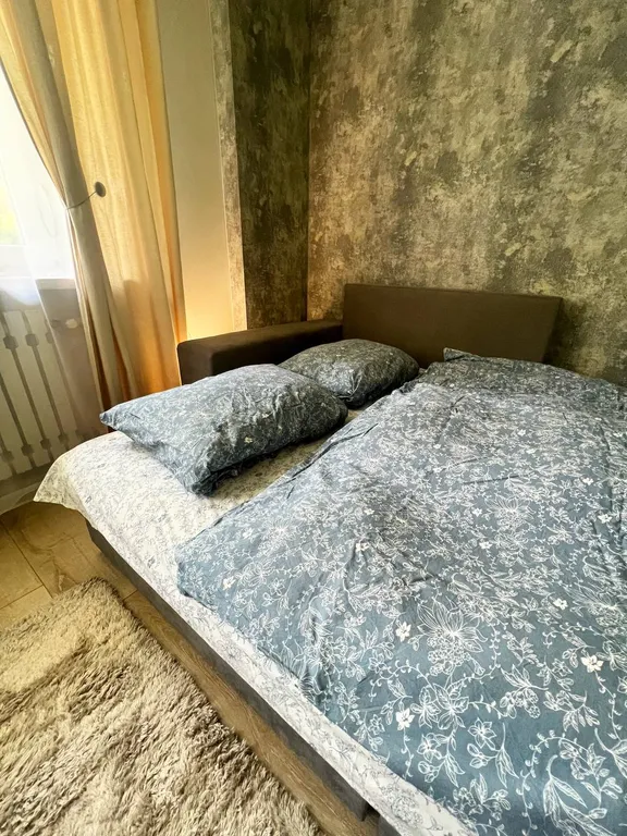 Квартира Уютная квартира — Светлогорск