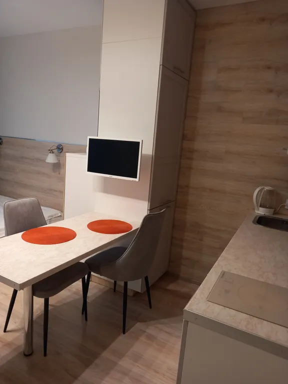 Уютные апартаменты с прекрасным видом на Петербург