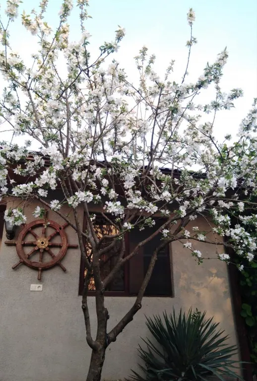 Уютная комната на берегу моря