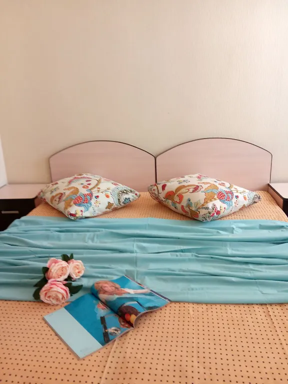 Уютная квартира в историческом центре — аренда посуточно в Пенза