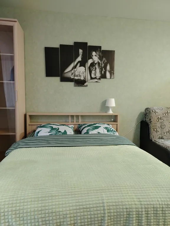 Уютная студия рядом с центром города Ногинск