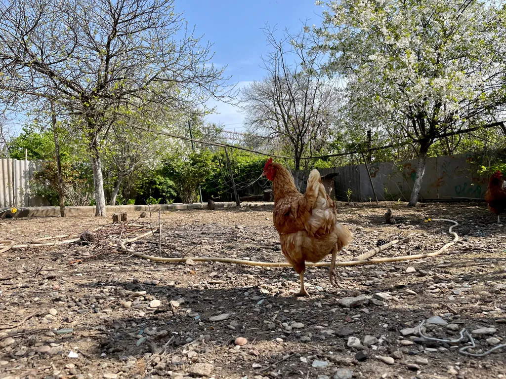 4-комнатный Дом