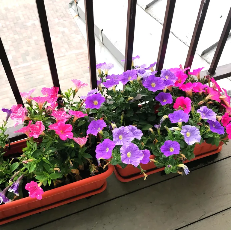 Квартира в центре города с бесплатной парковкой у дома