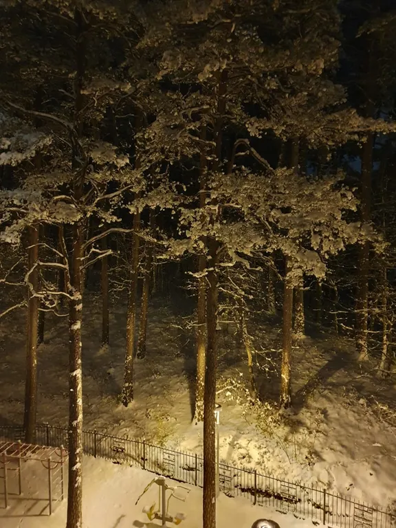 Уютный уголок около лесного озера