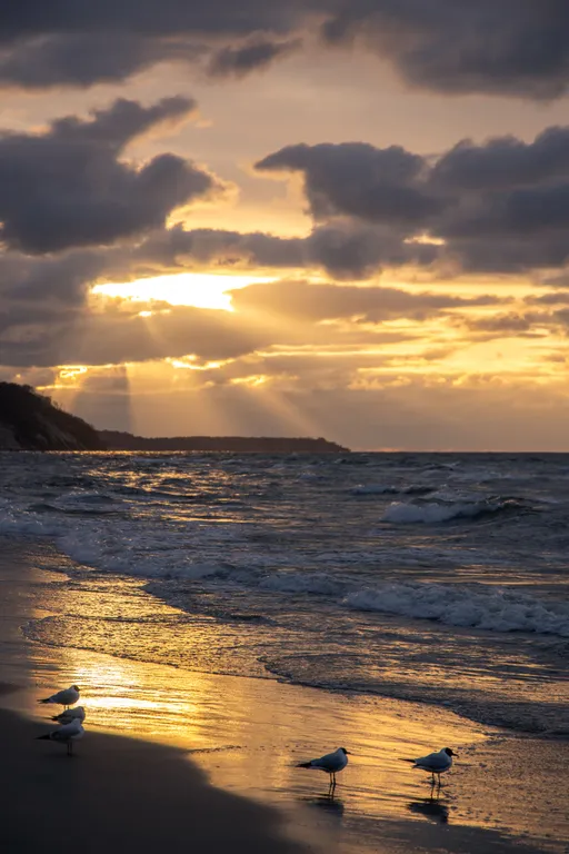 Квартира Апартаменты для уединенного отдыха и тишины — Светлогорск