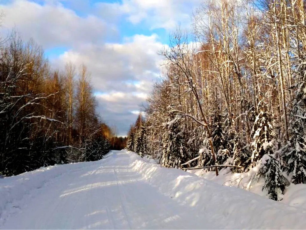 Отдых у озера