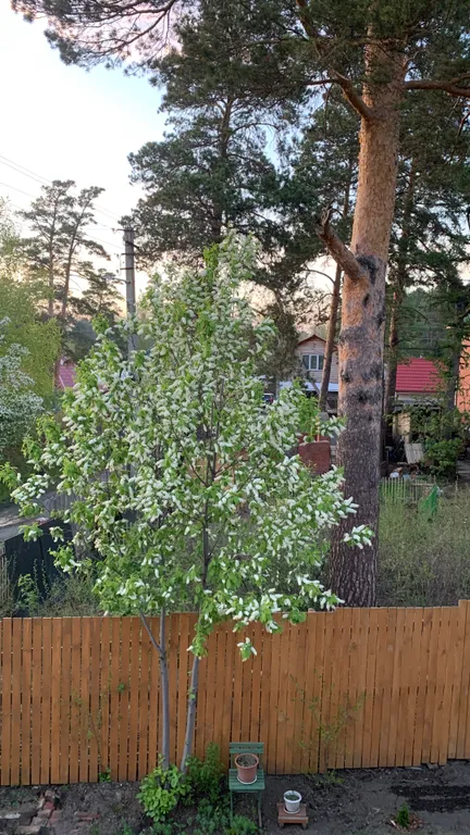 Живописный дом на природе недалеко от города