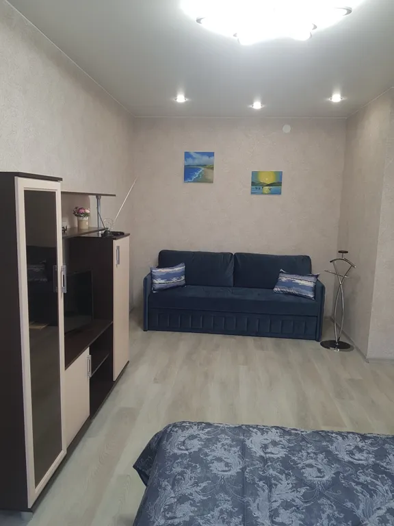 Апартаменты у Ледового дворца