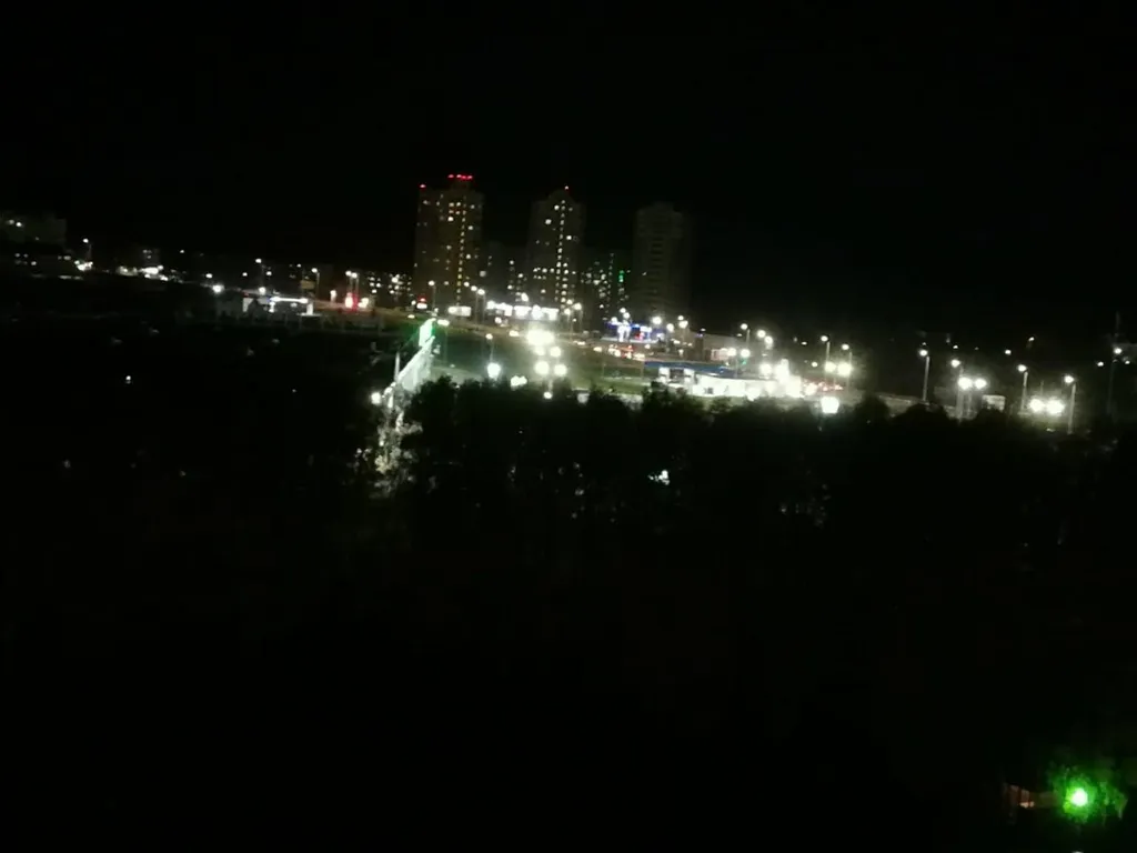 Уютная квартира с видом на берёзовую рощу