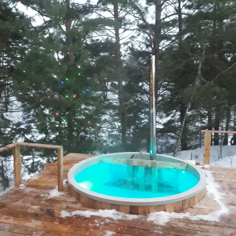 Уютный дом с баней и купелью в сосновом бору