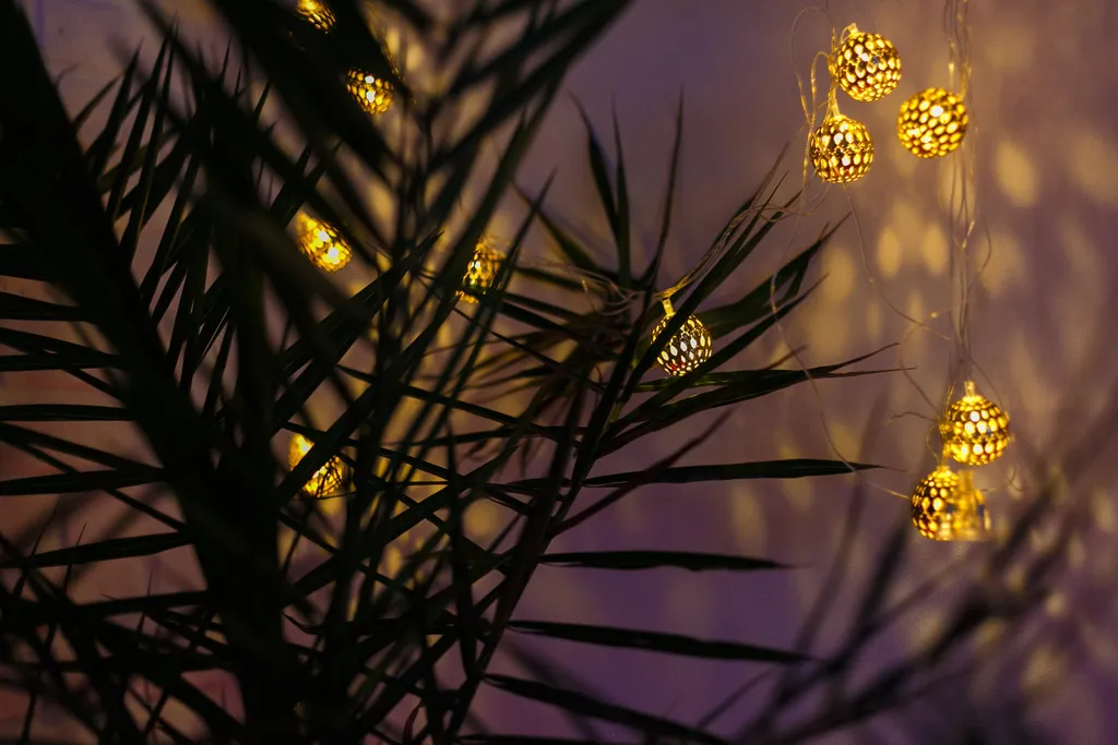 Душевная 2х комнатная квартира в самом сердце исторического Тбилиси.