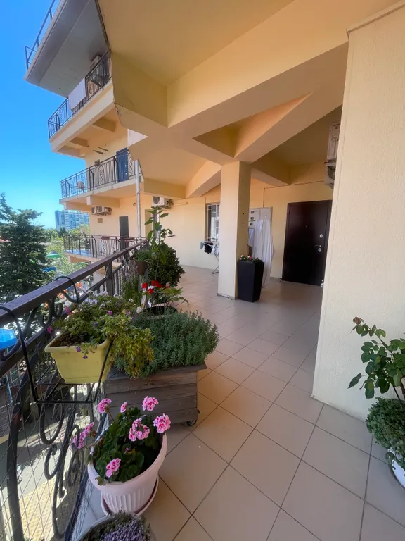 Апартаменты с кухней и видом на море морская звезда